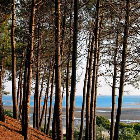 Lumineux A Arcachon, Pres Et Centre Ville, Ideale Pour Un Couple + Enfant - Fr-1-420-79 Apartment *