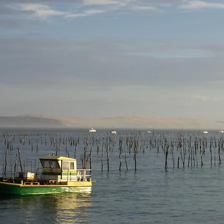 Studio A Arcachon Proche Plage Et Centre - Fr-1-420-79 Апартаменты Аркашон