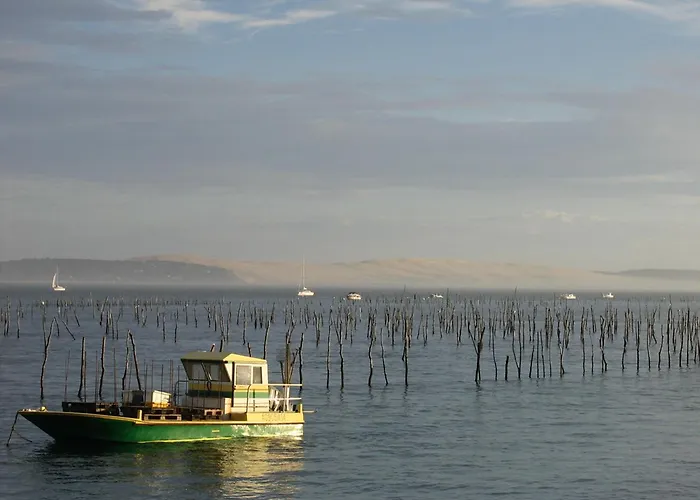 A Proche Et Centre - Fr-1-420-79 Lejlighed Arcachon