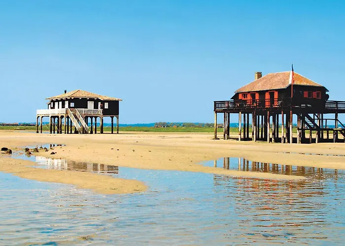 Lejlighed A Proche Et Centre - Fr-1-420-79 Arcachon