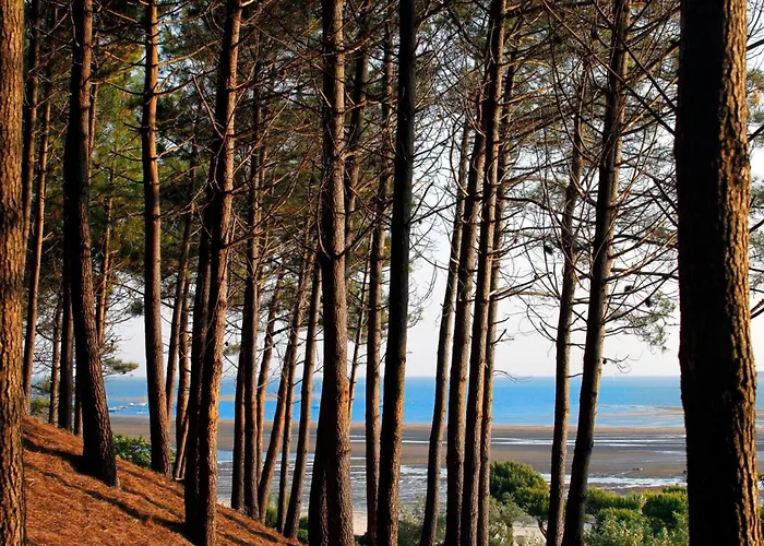 A Proche Et Centre - Fr-1-420-79 Apartment *